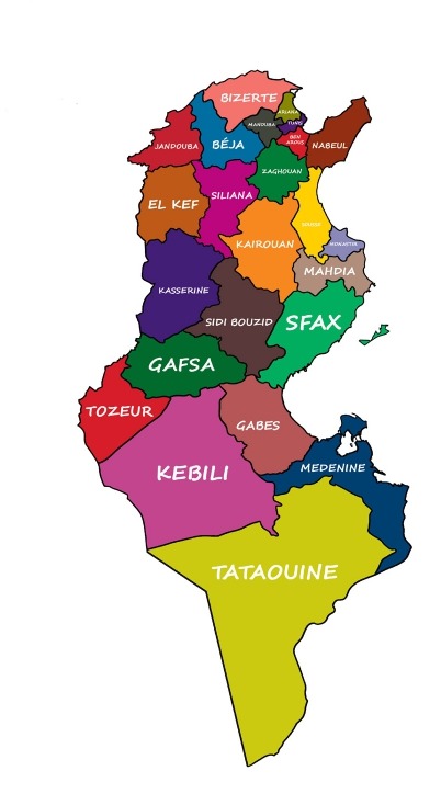 Carte des 24 gouvernorats de la Tunisie, colorée par région